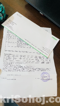 Canon Eos 250d Ef - S 18 55 Is Stm Kit Lens